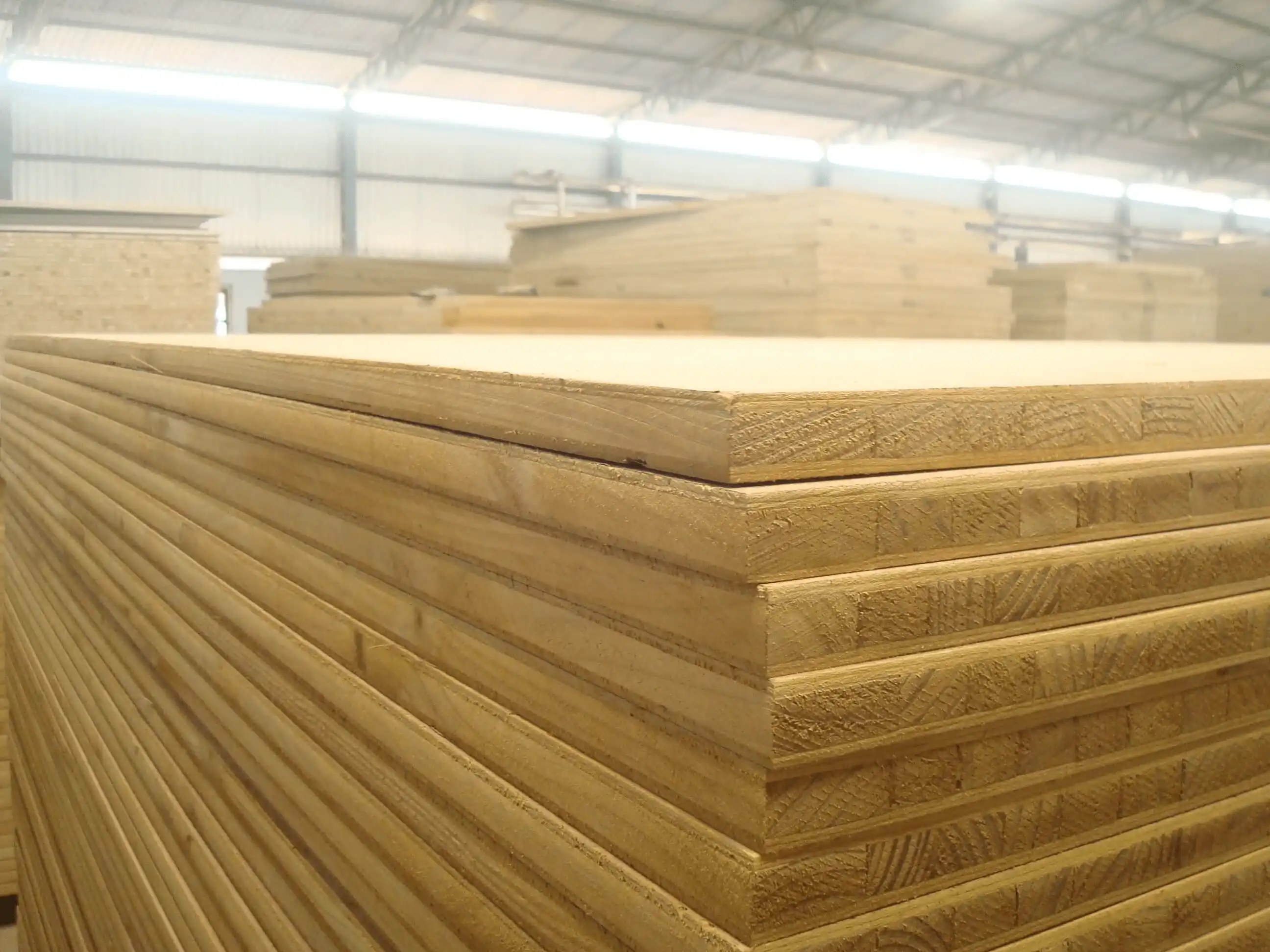 Calibrated Plywood view 3