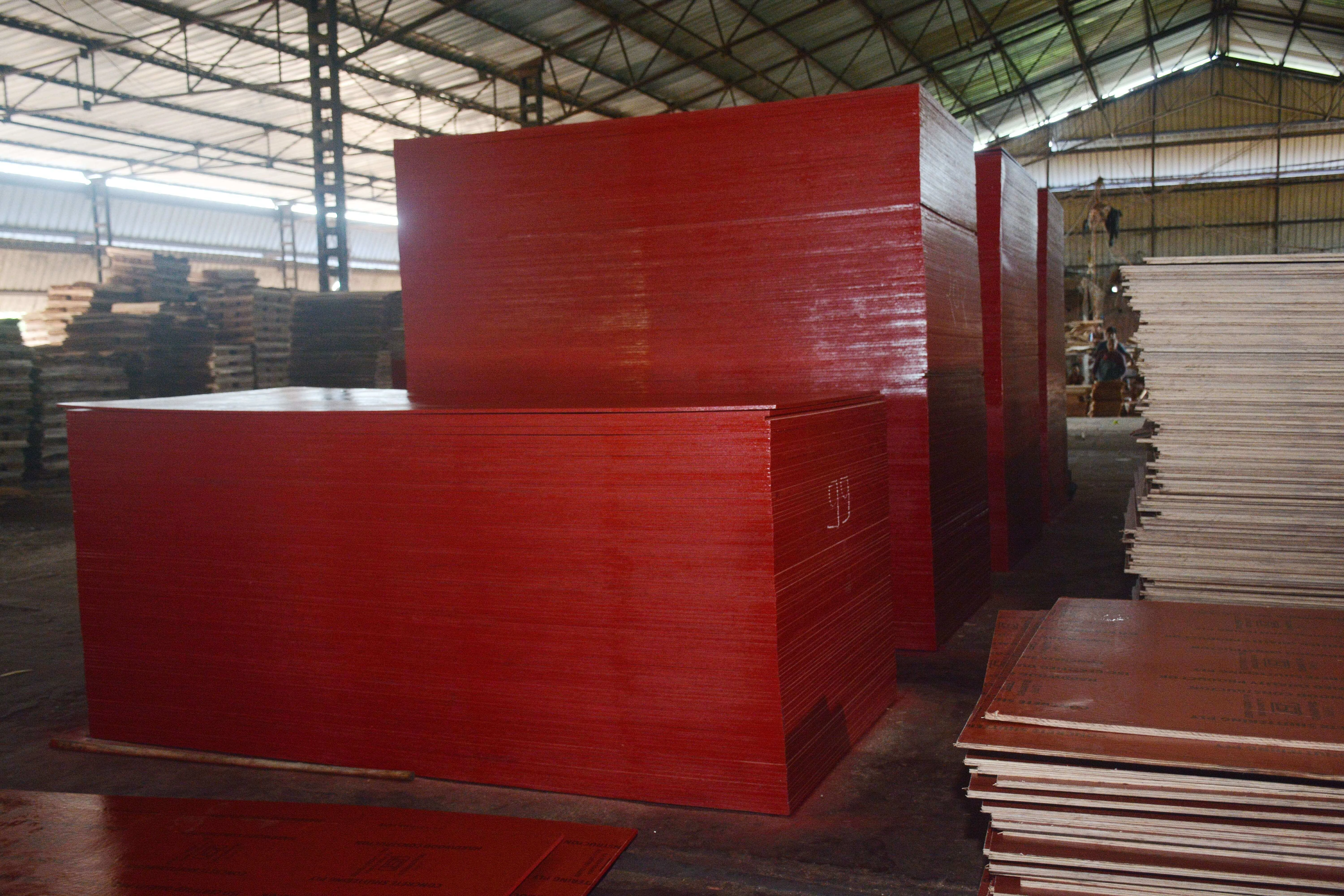 Shuttering Plywood view 3
